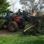 Évacuation des branches après l'élagage de l'arbre