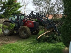 Évacuation des branches après l'élagage de l'arbre