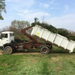 Dégagement final de l'arbre