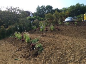 Aménagement des espaces verts et talus