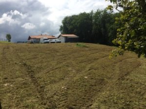 Terrain après débroussaillage