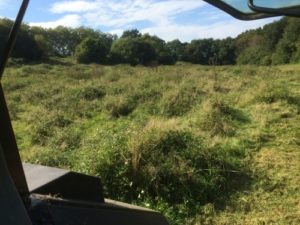 Terrain nettoyé au micro tracteur et broyeur à herbe