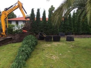 Travail de dépotage et de plantation à la minipelle