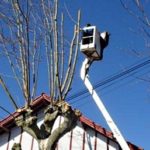 Élagage avec nacelle, près des câbles électriques Bayonne