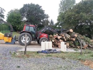 Évacuation de l'arbre démonté