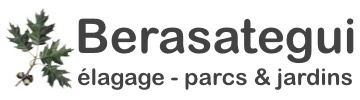 Berasategui Élagage Logo
