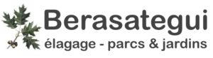 Logo Berasategui retina