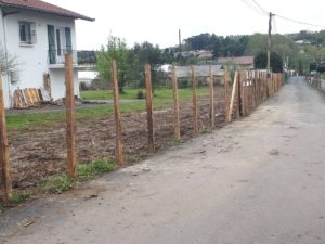 Pose de piquets d'acacia pour tenir la future clôture en brande de bruyère