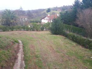 Plantation d'une haie de laurier vers Biarritz